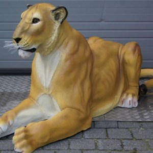 import placeholder for 8428